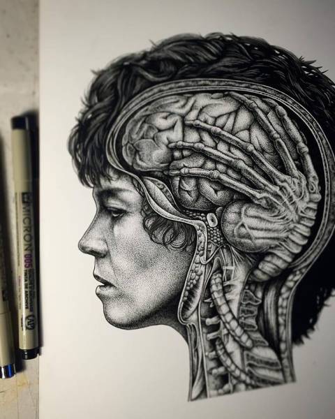 morning picdump 52 pics 20.html - 52 HD Photos | Premium Gallery 2016