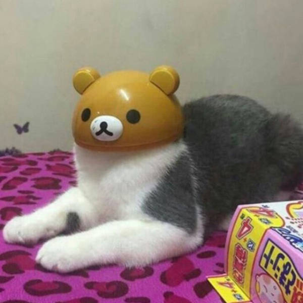 morning picdump 52 pics 20.html - 52 HD Photos | Premium Gallery 2016