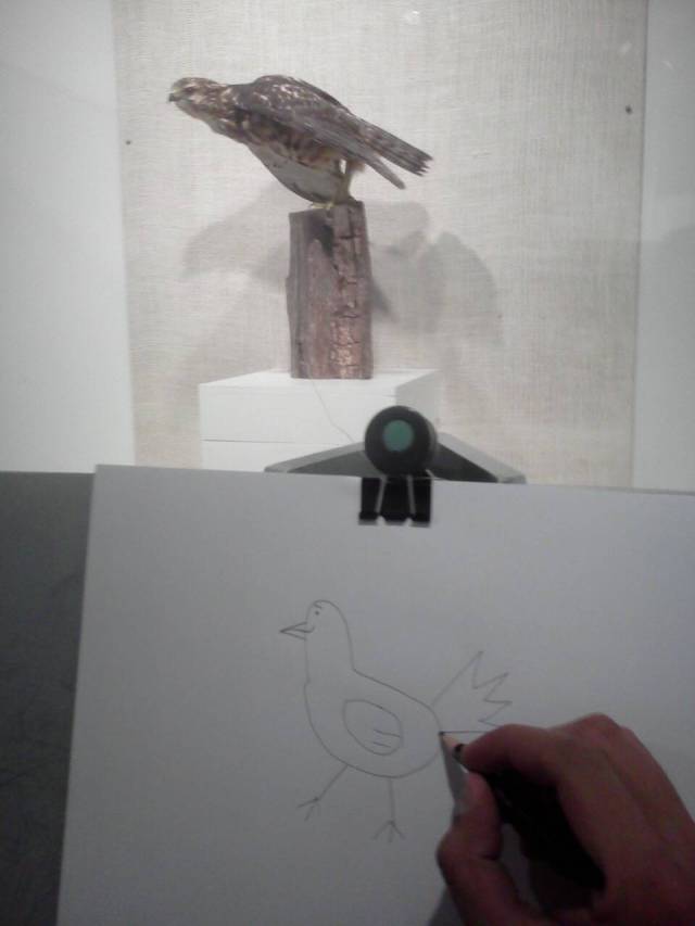 morning picdump 52 pics 20.html - 52 HD Photos | Premium Gallery 2016