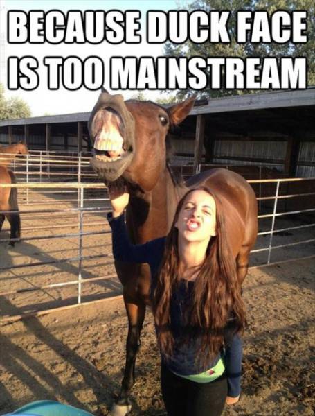 Funny Picdump