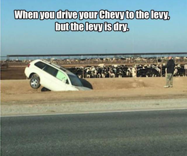 funny picdump 50 pics 20.html - 50 HD Photos | Premium Gallery 2016