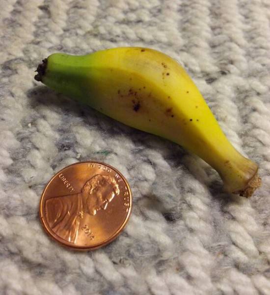 morning picdump 53 pics 3.html - 53 HD Photos | Premium Gallery 2016