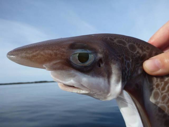 morning picdump 53 pics 3.html - 53 HD Photos | Premium Gallery 2016