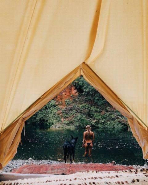 daily picdump 94 pics 8.html - 94 HD Photos | Premium Gallery 2016