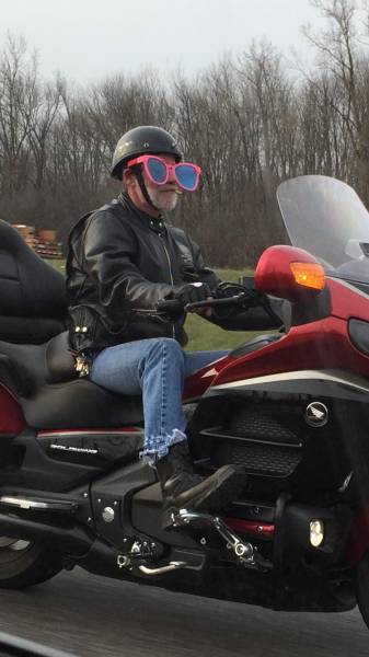 daily picdump 94 pics 8.html - 94 HD Photos | Premium Gallery 2016