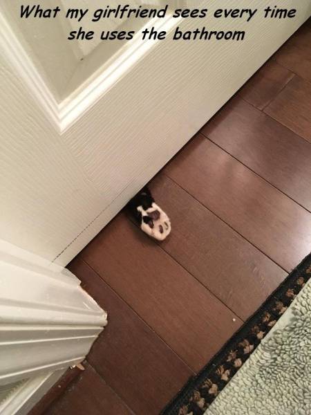 daily picdump 94 pics 8.html - 94 HD Photos | Premium Gallery 2016