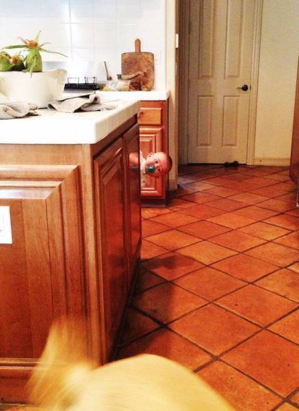 daily picdump 94 pics 8.html - 94 HD Photos | Premium Gallery 2016