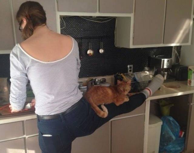 daily picdump 94 pics 8.html - 94 HD Photos | Premium Gallery 2016