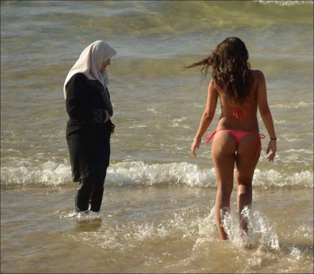 grownup corner 54 pics 20 gifs 1.html - 54 HD GIF | Premium Gallery 2016