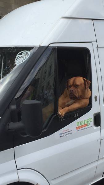 morning picdump 50 pics 17.html - 50 HD Photos | Premium Gallery 2016