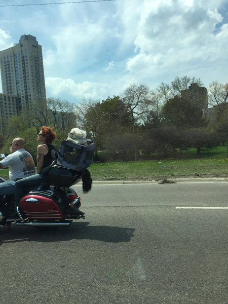 morning picdump 50 pics 17.html - 50 HD Photos | Premium Gallery 2016