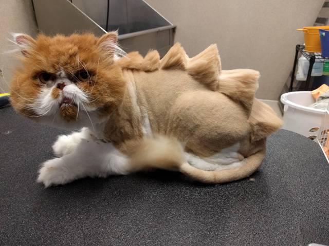 morning picdump 50 pics 17.html - 50 HD Photos | Premium Gallery 2016