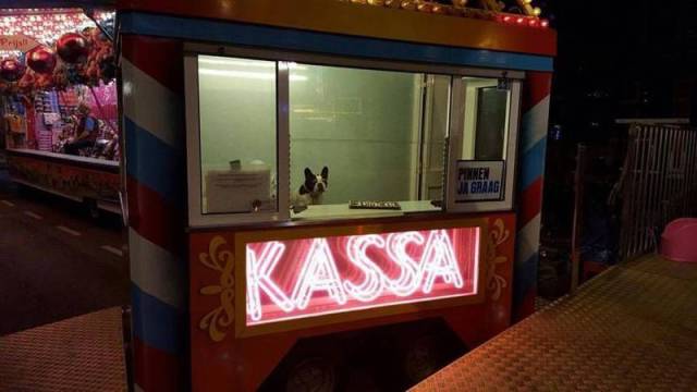 daily picdump 99 pics 30.html - 99 HD Photos | Premium Gallery 2016