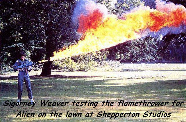 daily picdump 99 pics 30.html - 99 HD Photos | Premium Gallery 2016