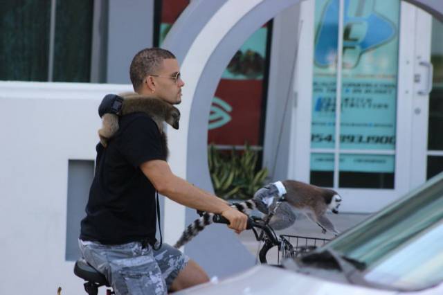 daily picdump 99 pics 30.html - 99 HD Photos | Premium Gallery 2016