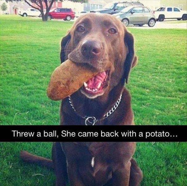 daily picdump 99 pics 30.html - 99 HD Photos | Premium Gallery 2016
