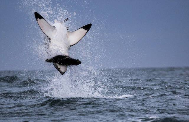 daily picdump 99 pics 30.html - 99 HD Photos | Premium Gallery 2016