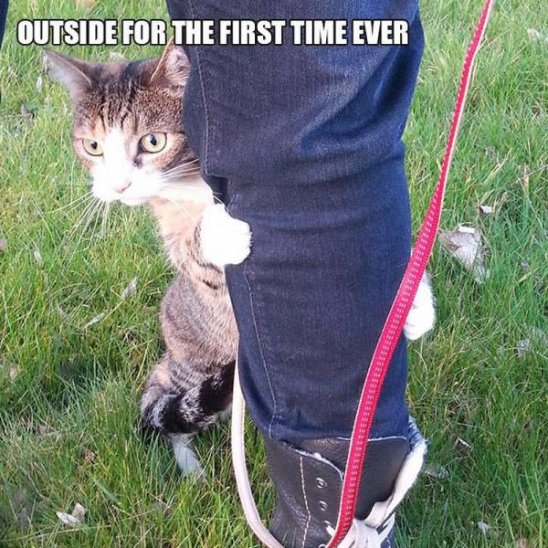 daily picdump 99 pics 30.html - 99 HD Photos | Premium Gallery 2016