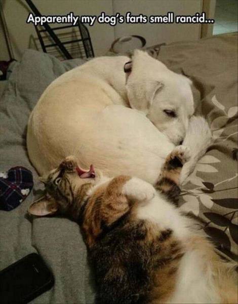 daily picdump 99 pics 30.html - 99 HD Photos | Premium Gallery 2016