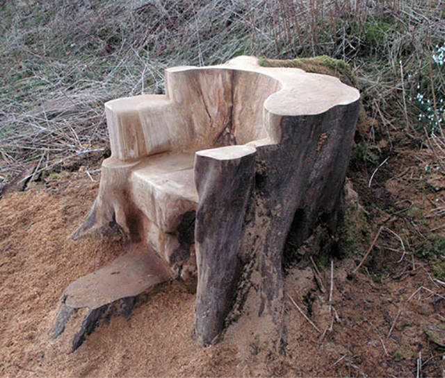 morning picdump 53 pics 8.html - 53 HD Photos | Premium Gallery 2016