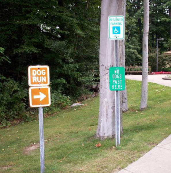 morning picdump 53 pics 8.html - 53 HD Photos | Premium Gallery 2016