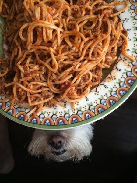 daily picdump 101 pics 46.html - 101 HD Photos | Premium Gallery 2016