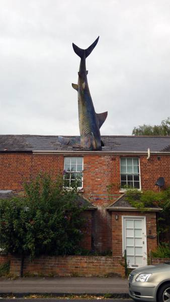 daily picdump 101 pics 46.html - 101 HD Photos | Premium Gallery 2016