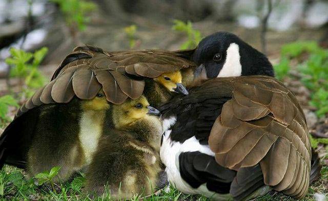 daily picdump 101 pics 46.html - 101 HD Photos | Premium Gallery 2016