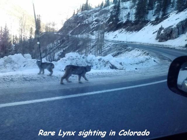 daily picdump 101 pics 46.html - 101 HD Photos | Premium Gallery 2016