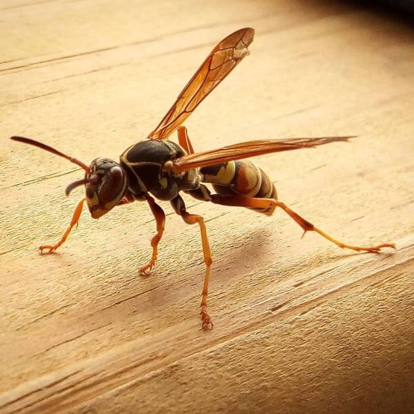 daily picdump 101 pics 46.html - 101 HD Photos | Premium Gallery 2016