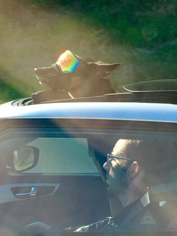 morning picdump 50 pics 14.html - 50 HD Photos | Premium Gallery 2016