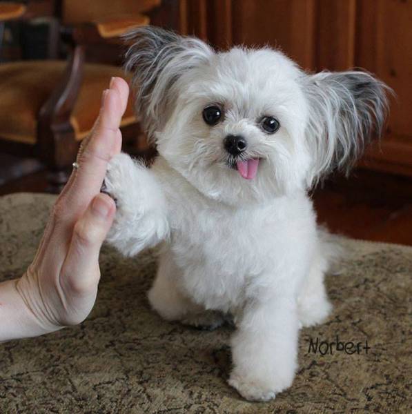 morning picdump 50 pics 14.html - 50 HD Photos | Premium Gallery 2016