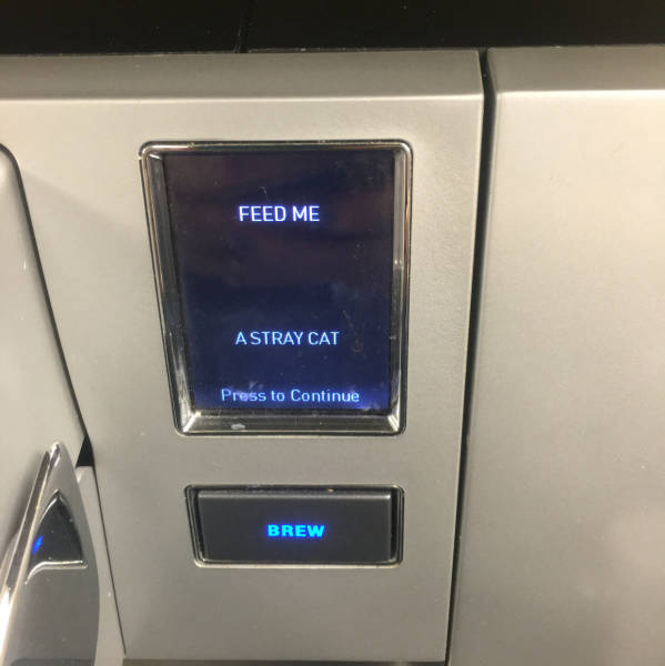 morning picdump 52 pics 25.html - 52 HD Photos | Premium Gallery 2016