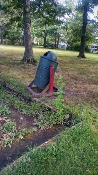 daily picdump weekend edition 54 pics 14.html - 54 HD Photos | Premium Gallery 2016