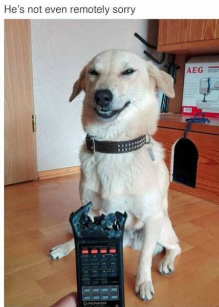 daily picdump 103 pics 38.html - 103 HD Photos | Premium Gallery 2016