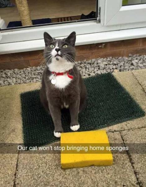 daily picdump 103 pics 38.html - 103 HD Photos | Premium Gallery 2016