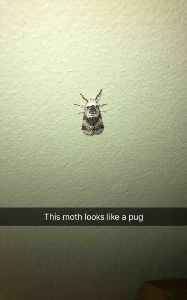 daily picdump 103 pics 38.html - 103 HD Photos | Premium Gallery 2016