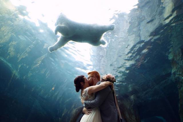 morning picdump 50 pics 19.html - 50 HD Photos | Premium Gallery 2016