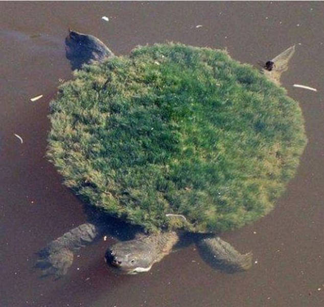 morning picdump 50 pics 19.html - 50 HD Photos | Premium Gallery 2016