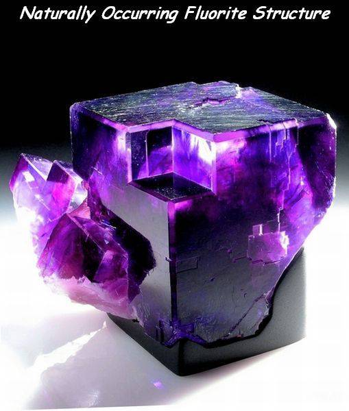 daily picdump 110 pics 23.html - 110 HD Photos | Premium Gallery 2016