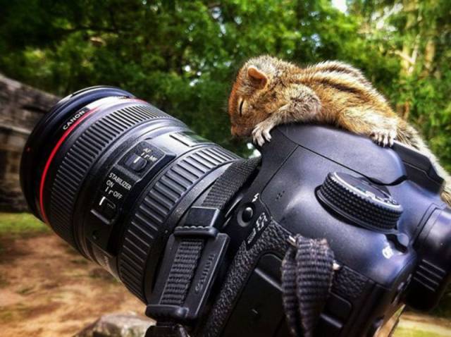 Daily Picdump