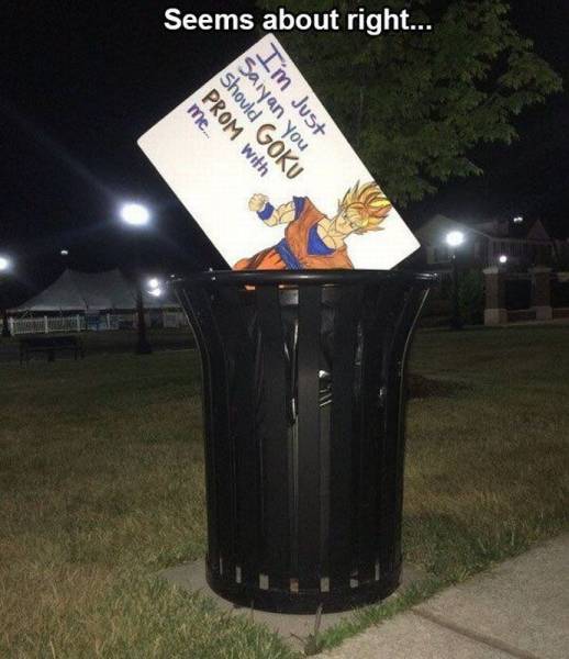 Daily Picdump