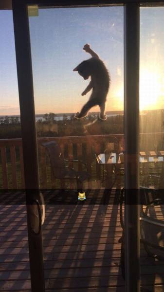 Daily Picdump