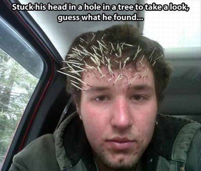 Daily Picdump