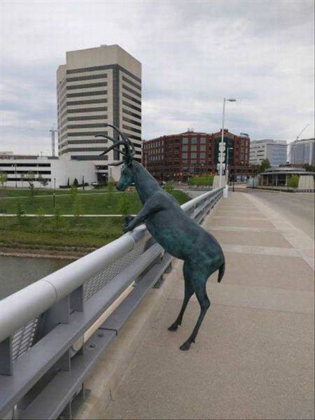 Daily Picdump