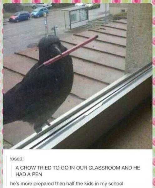 daily picdump 110 pics 23.html - 110 HD Photos | Premium Gallery 2016