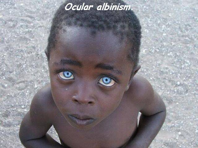 daily picdump 110 pics 23.html - 110 HD Photos | Premium Gallery 2016