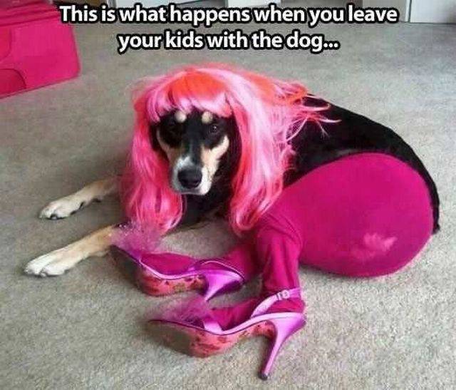 daily picdump 110 pics 23.html - 110 HD Photos | Premium Gallery 2016