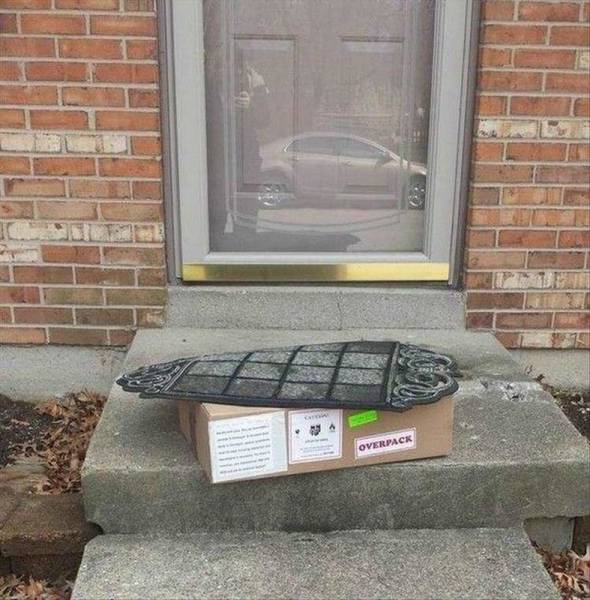 daily picdump 110 pics 23.html - 110 HD Photos | Premium Gallery 2016