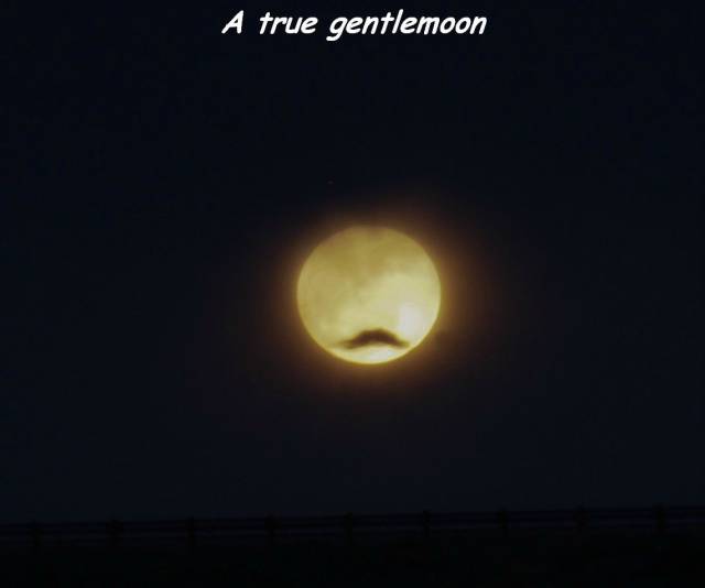 daily picdump 110 pics 23.html - 110 HD Photos | Premium Gallery 2016